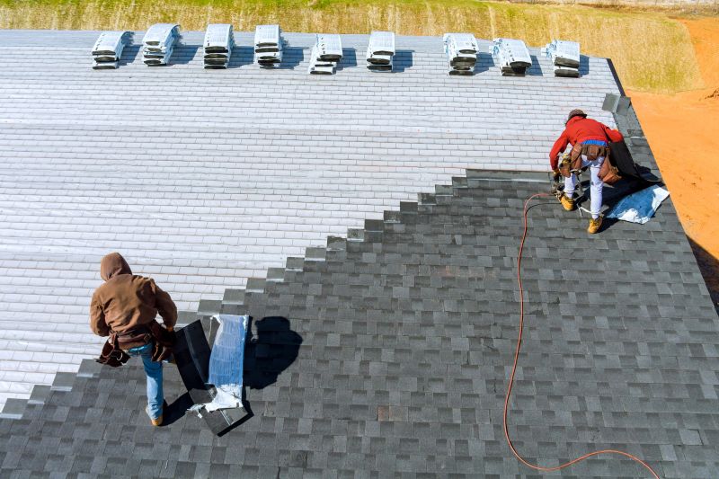 Expert Shingle Fix