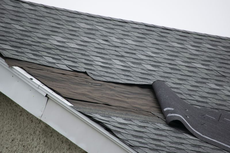 Existing Roof Condition
